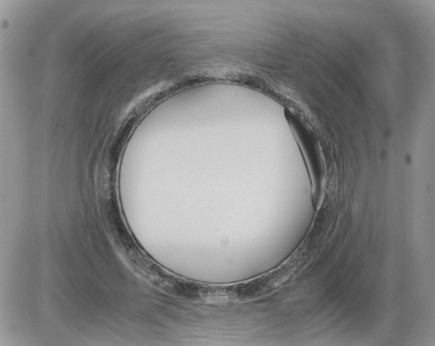 X0000086010587200704201858