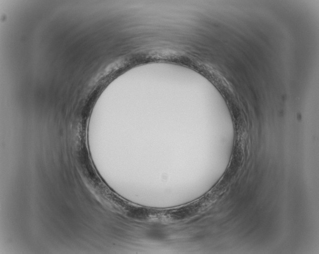 X0000086010591200704201858