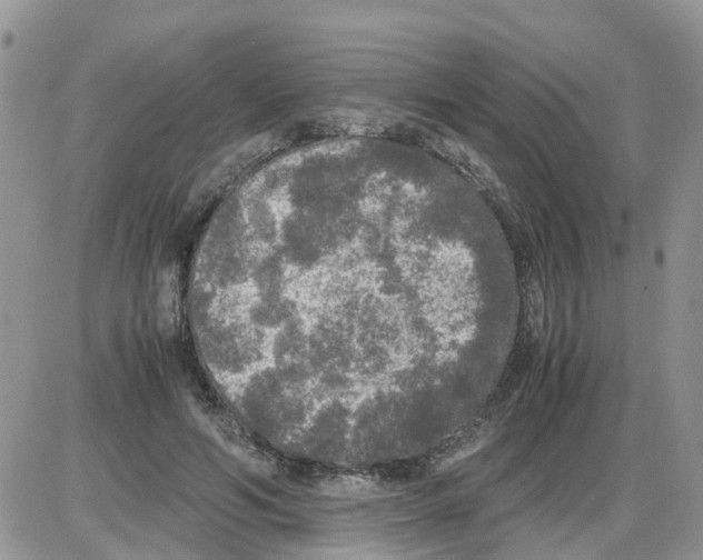 X0000086010594200704201858