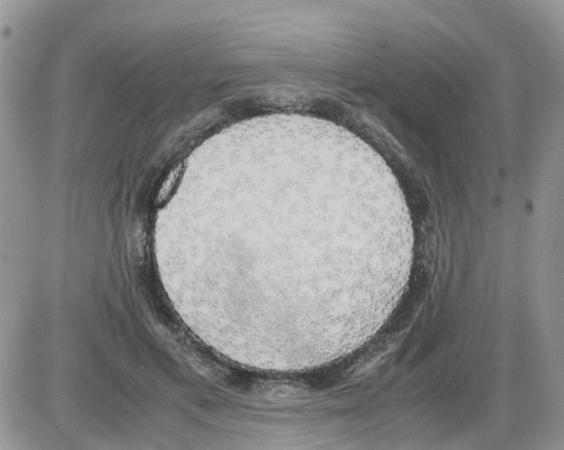 X0000086010597200704201858