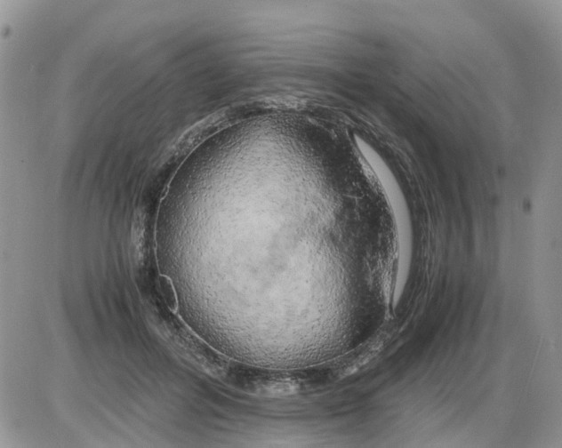 X0000086010600200704201858