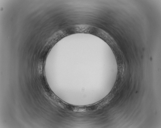 X0000086010602200704201858