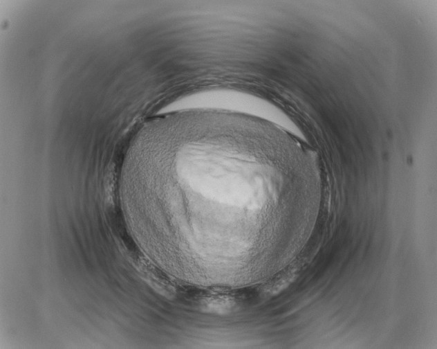 X0000086010604200704201858