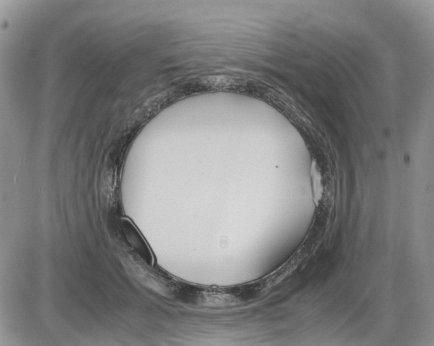 X0000086010605200704201858