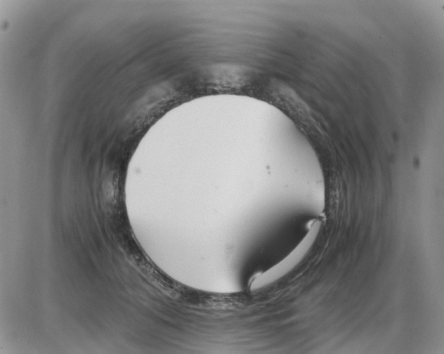X0000086010608200704201858