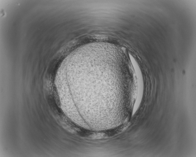 X0000086010609200704201858