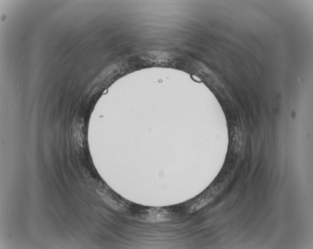 X0000086010612200704201858