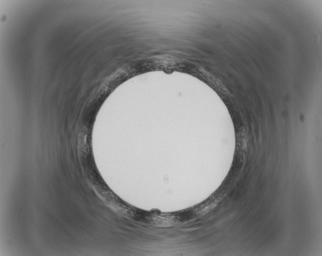 X0000086010615200704201858