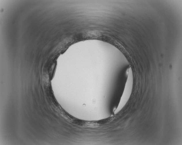 X0000086010617200704201858