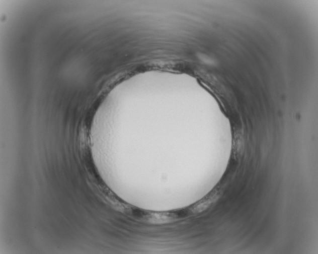 X0000086010623200704201858