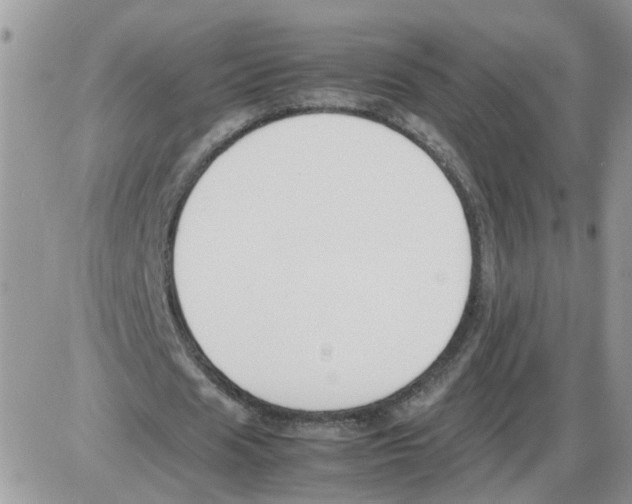 X0000086010625200704201857