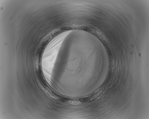 X0000086010644200704201857