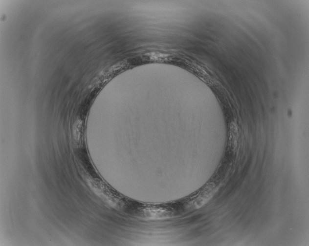X0000086010650200704201857