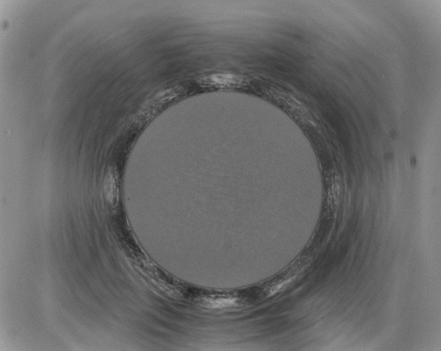 X0000086010651200704201857