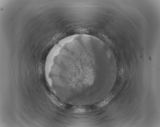 X0000086010658200704201857