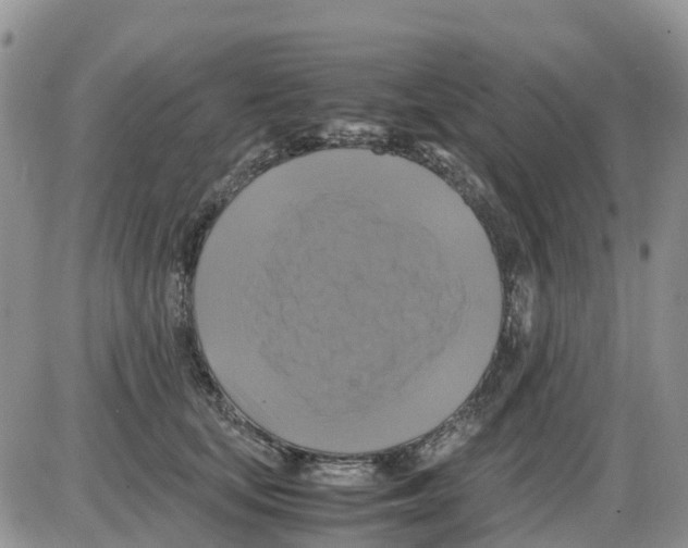 X0000086010659200704201857