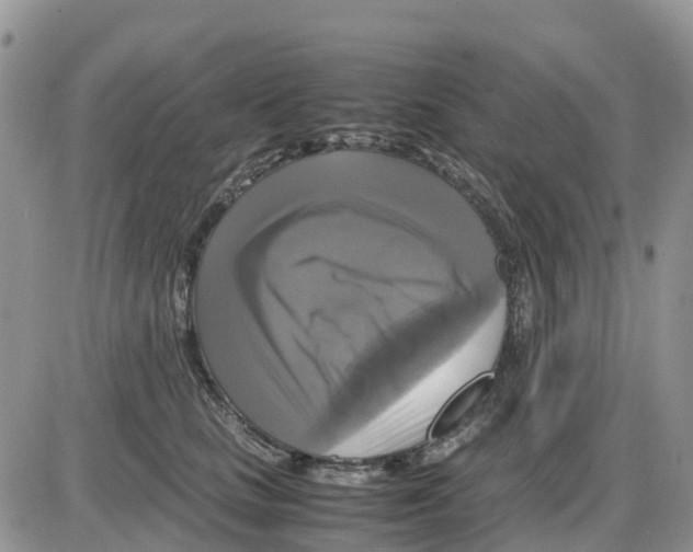 X0000086010661200704201857