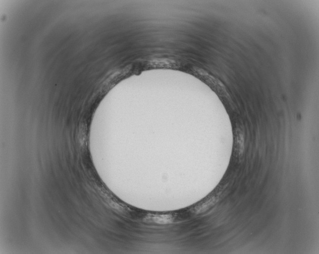X0000086010665200704201857