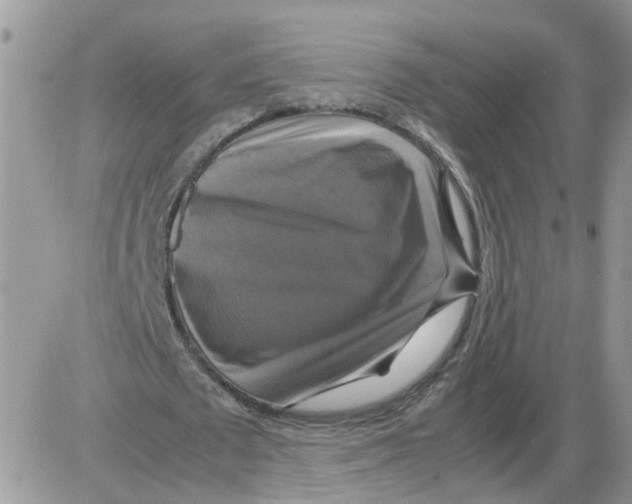 X0000086010673200704201857
