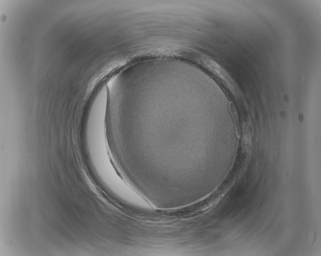 X0000086010677200704201857