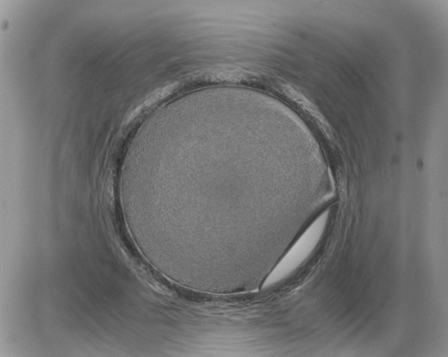 X0000086010681200704201857