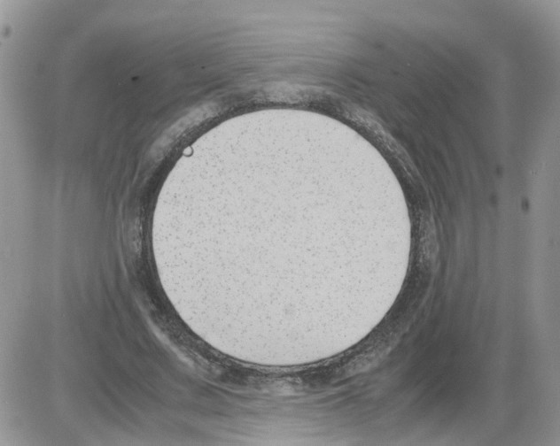 X0000086010683200704201857