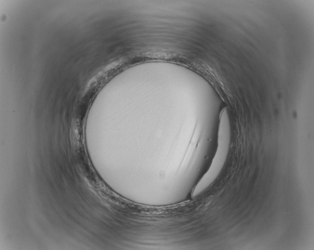 X0000086010688200704201857