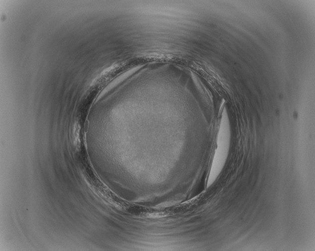 X0000086010692200704201856
