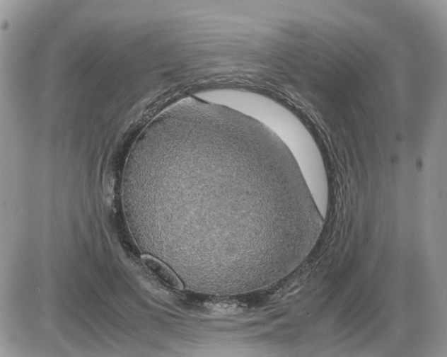X0000086010693200704201856