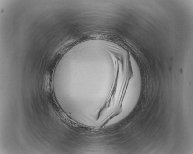 X0000086010696200704201856
