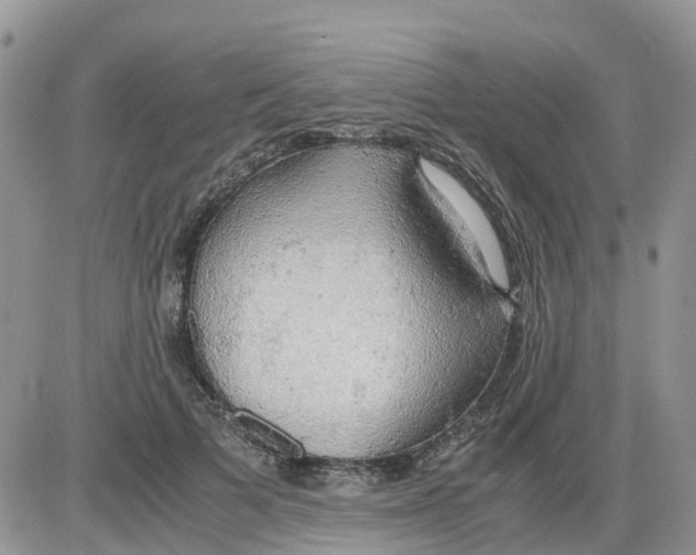X0000086010697200704201856