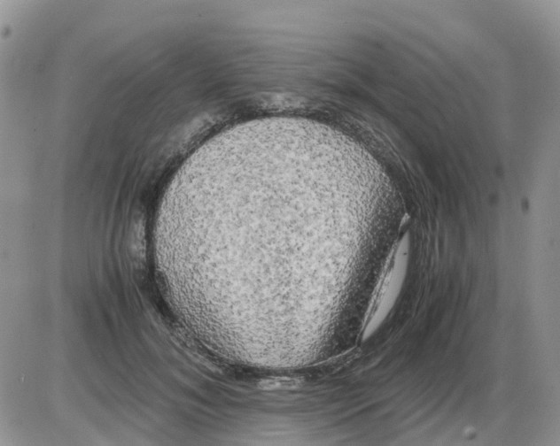X0000086010700200704201856