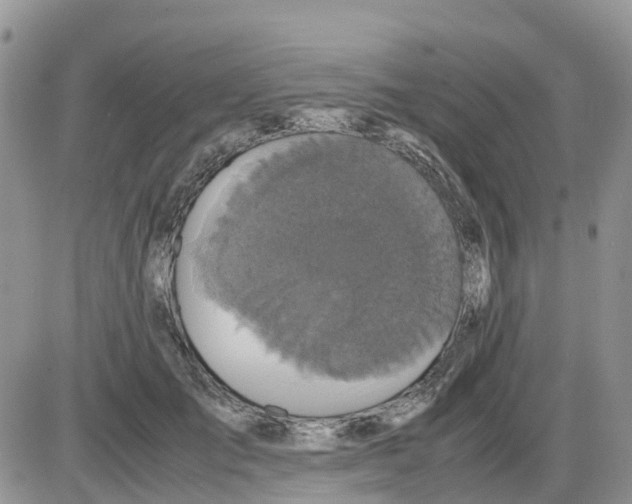 X0000086010701200704201856