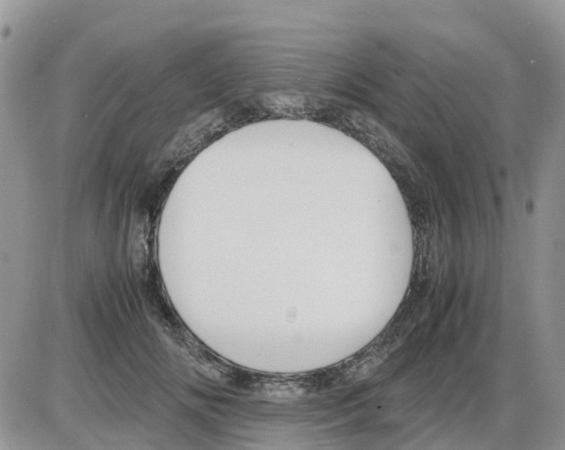 X0000086010702200704201856