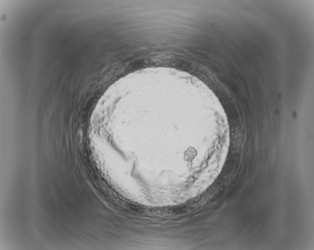 X0000086010703200704201856