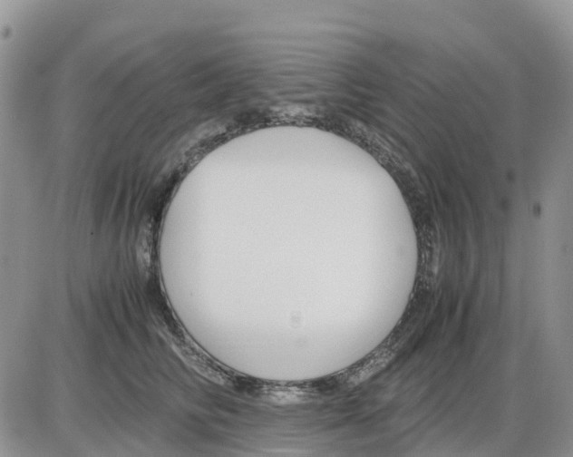 X0000086010710200704201856