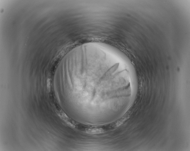 X0000086010716200704201856