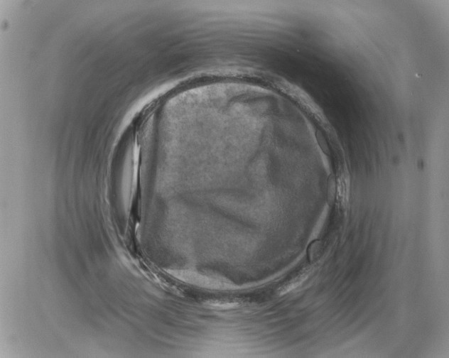 X0000086010724200704201855