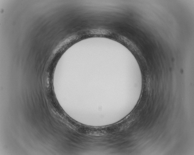 X0000086010731200704201855