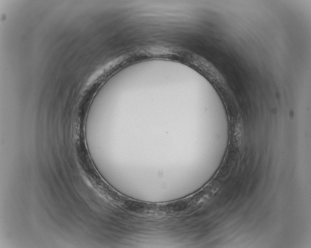 X0000086010732200704201855