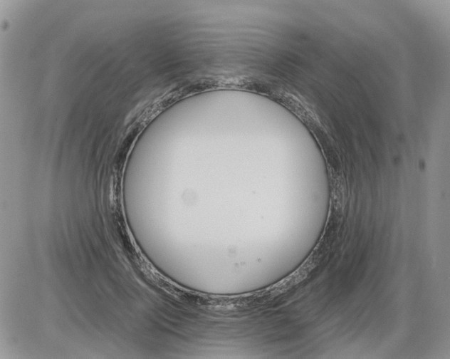 X0000086010740200704201856
