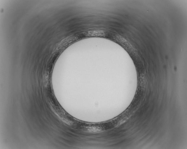 X0000086010741200704201856