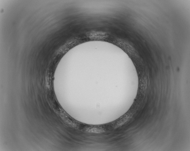 X0000086010755200704201856