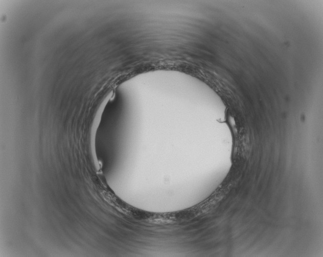 X0000086010756200704201856