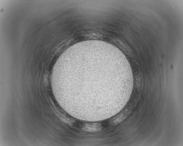 X0000086010757200704201856