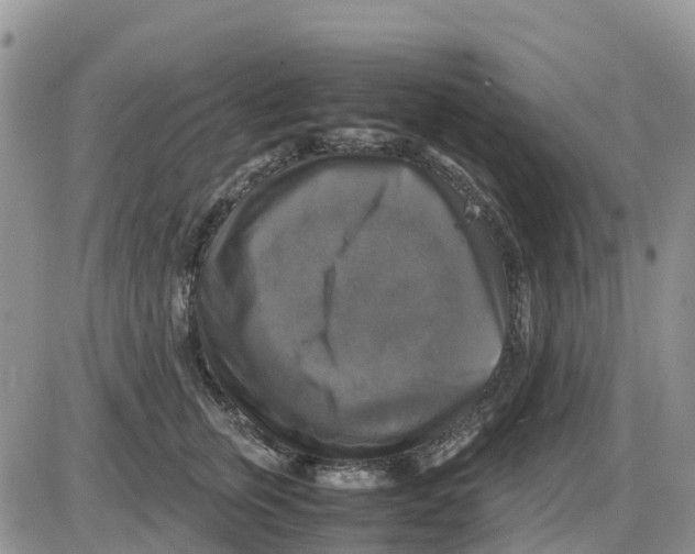 X0000086010759200704201856