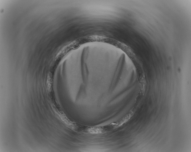 X0000086010762200704201856
