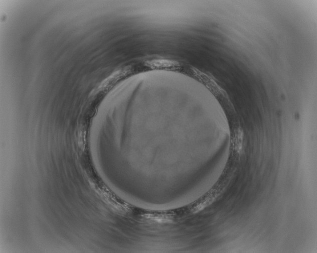 X0000086010763200704201856