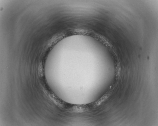 X0000086010764200704201856