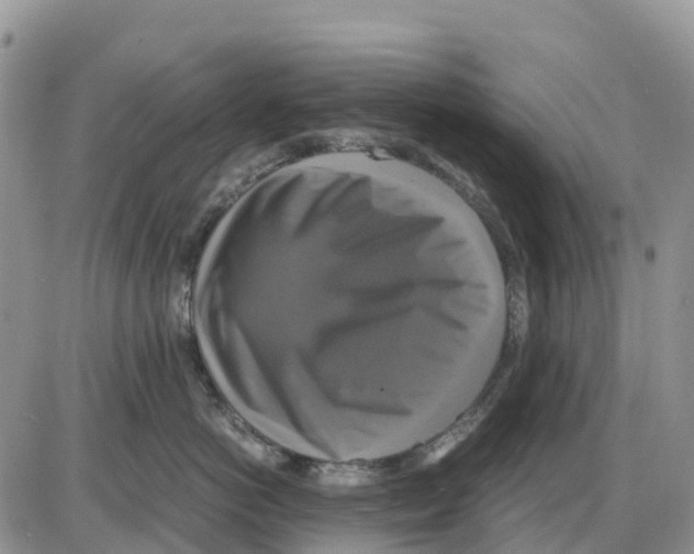 X0000086010766200704201856